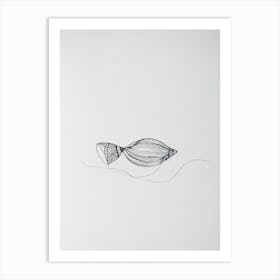 Conch Black & White Drawing Art Print