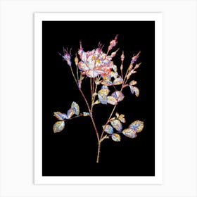Stained Glass Anemone Flowered Sweetbriar Rose Mosaic Botanical Illustration on Black n.0020 Art Print