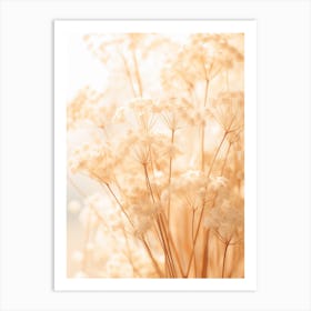 Boho Dried Flowers Babys Breath 1 Art Print