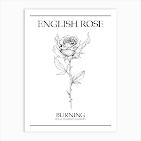English Rose Burning Line Drawing 2 Poster Art Print