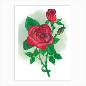 Red Roses Art Print