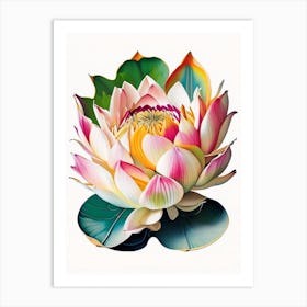 Giant Lotus Decoupage 3 Art Print