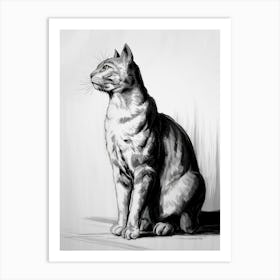 Cat Drawing Art Print