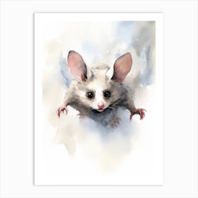 Light Watercolor Painting Of A Acrobatic Possum 1 Art Print