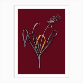 Vintage Dutch Hyacinth Black and White Gold Leaf Floral Art on Burgundy Red n.0849 Art Print