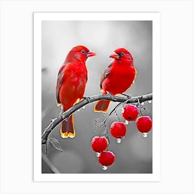 Two red birds Art Print