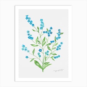 Forget-me-not Art Print