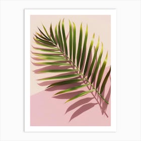 Palm Leaf On Pink Background 5 Art Print