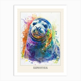 Elephant Seal Colourful Watercolour 1 Poster Art Print