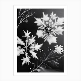 Delicate, Snowflakes, Black & White 2 Art Print