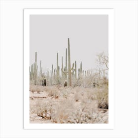 Arizona Desert View Art Print