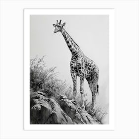 Giraffe On The Cliff Edge Pencil Drawing 2 Art Print