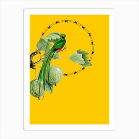 Parrot On A Branch Art Print