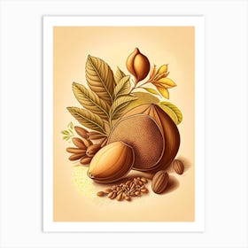 Nutmeg Spices And Herbs Retro Drawing 1 Art Print