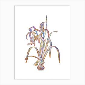 Stained Glass Sprekelia Mosaic Botanical Illustration on White n.0279 Art Print
