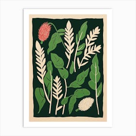 Ferns And Flowers Art Print