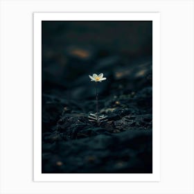 Single White Flower 7 Art Print