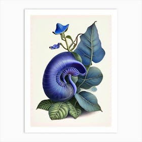 Periwinkle Snail  Botanical Art Print