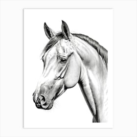 Highly Detailed Pencil Sketch Portrait of Horse with Soulful Eyes 8 Art Print