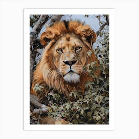 African Lion Lion In Different Seasons Acrylic Painting 2 Art Print