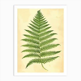 Vintage Illustration Wood Fern 2 Art Print