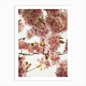 Blush Spring Love Art Print
