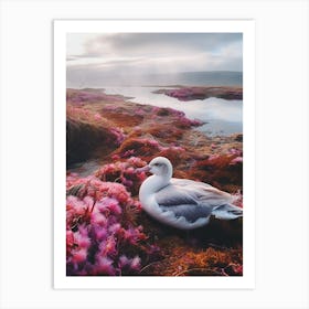 Pink Seagull Art Print