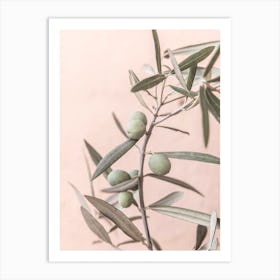 Spanish Olive Art Print