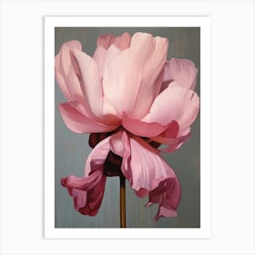 Floral Illustration Cyclamen 1 Art Print