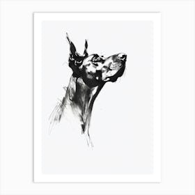 Doberman Dog Charcoal Line 3 Art Print