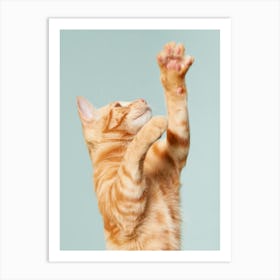 Cat Reaching For A Toy Art Print