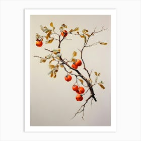 Apricots 2 Art Print