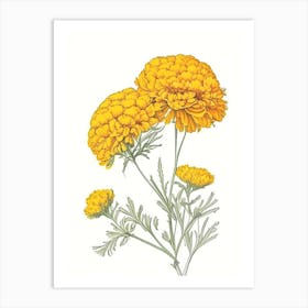 Marigold Floral Quentin Blake Inspired Illustration 3 Flower Art Print