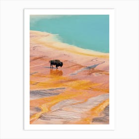 Bison In Yellowstone Art Print