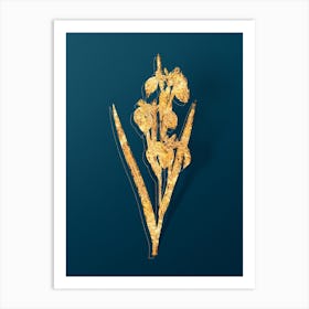 Vintage Irises Botanical in Gold on Teal Blue Art Print