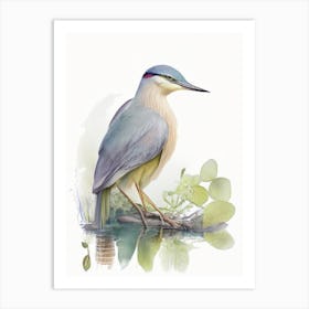 Javan Pond Heron Gouache 1 Art Print