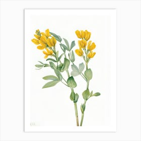 Yellow Flowers 1 Art Print