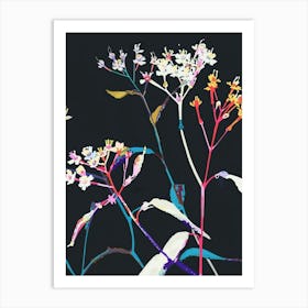 Neon Flowers On Black Babys Breath 2 Art Print