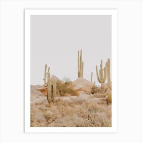 Sonoran Desert Art Print