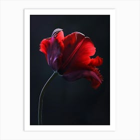 Poster Red Beauty 2 Art Print