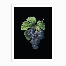 Vintage Grape Vine Botanical Illustration on Solid Black n.0781 Art Print