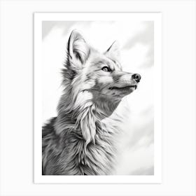 Tibetan Sand Fox Portrait Pencil Drawing 5 Art Print