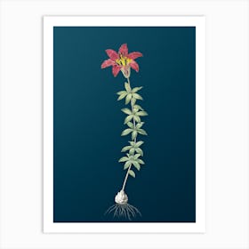 Vintage Wood Lily Botanical Art on Teal Blue n.0898 Art Print