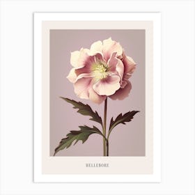 Floral Illustration Hellebore 1 Poster Art Print