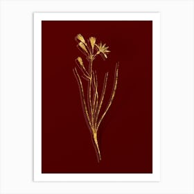 Vintage Amaryllis Montana Botanical in Gold on Red n.0045 Art Print