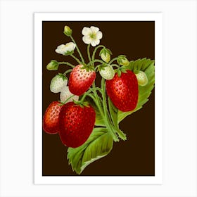 Strawberry Bouquet Art Print