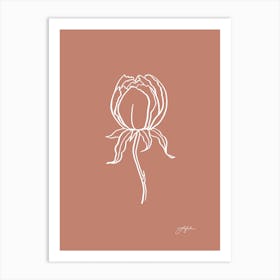 Flower Line Art No 470 Art Print