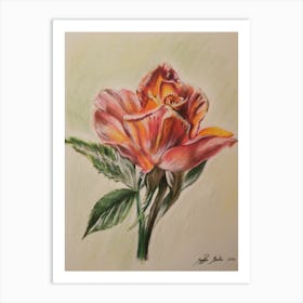 Red Rose Art Print