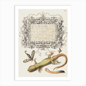 Scorpionfly, Insect, Lizard, And Insect Larva From Mira Calligraphiae Monumenta, Joris Hoefnagel Art Print