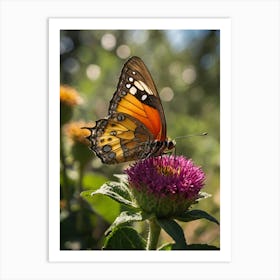 Butterfly On A Flower 1 Art Print